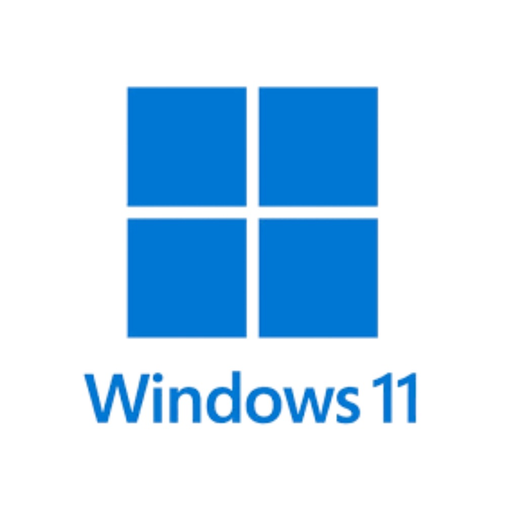 Windows 11